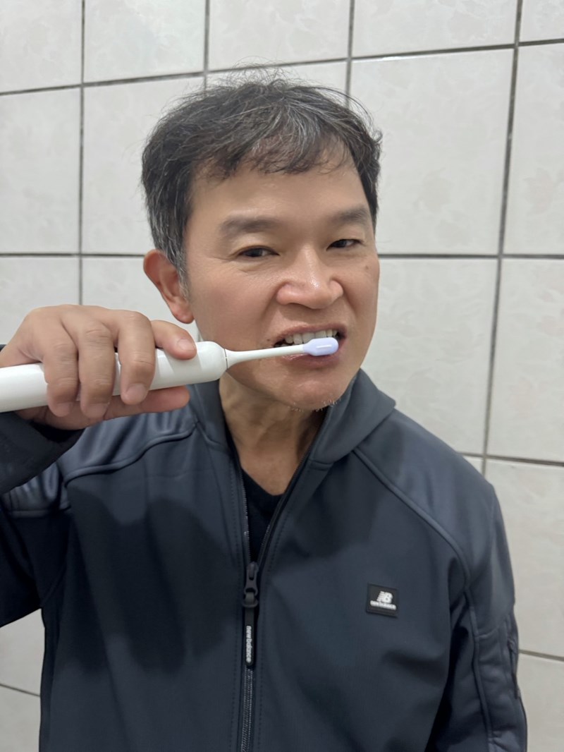 試用